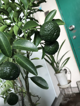 Dc49989e25234cdc84abf18f7ec4df52