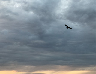 E0ca5ba86c0f4a0fa8c4b66507feccd1