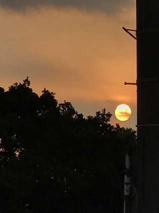 088d4eaceabb4a13be7faa5398c637ad