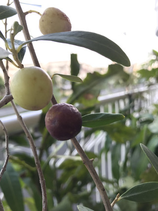 4b037696e8894287b596e3b2b648788e