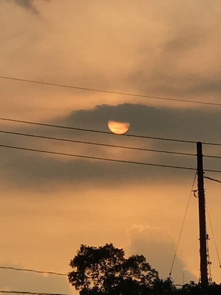 D087577289164904aa758eca04653a5f