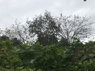 A4b4e8558de74030b0d3c88e6dd800d5