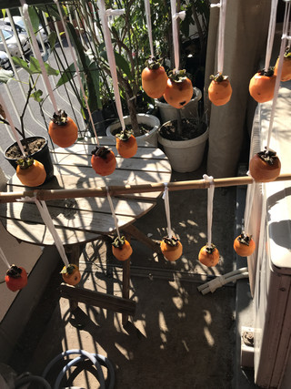 3175fd247073434a98e205c32533ed17