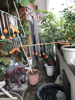 Aa852f87f07344c1988f21ebcee38cd8