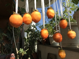 D0fa3b3f4a8a46c5b6200fd69b829e4e