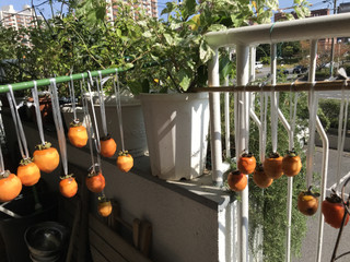 Fde068e56a174352a6e8985584aa55c2