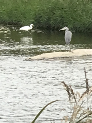 540762f450bf45b2b67c853f32158a09