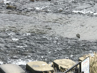 9ea9fcb8b6ce40458374e72b3880cbb3