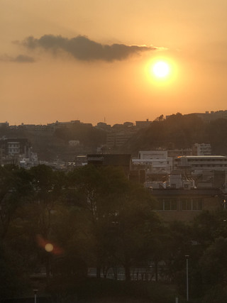 0c128b077ae04c28b0bfd3dc88fc55ce