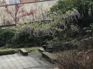 56c44c3f7bfe4cd78f2a994db4b6a232