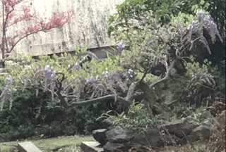 Aaa09320fbb74ee6a0c6eb1294971a15