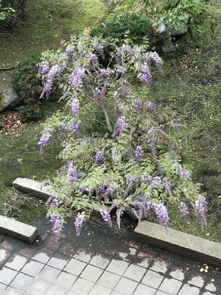 Cc6ea9a7a5394395836d5574c09cadd5