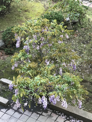 2abdfcadb7554621bd011567f76a0b5b