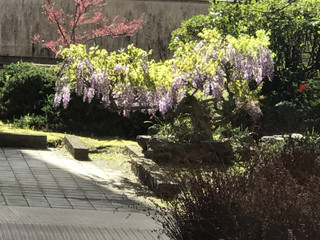 Eebf83a7f7e3440e87d84069400585fb