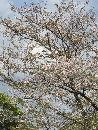 32cdbbdb2be2438a98788f25e8fa7ba9