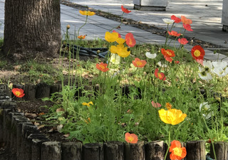 40f709f07ffc46fc821a96c8e7626a6f