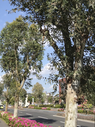 C585462d782e4899870ca77c28f72ec8