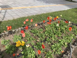 26b7e028bd3245d8845c7be8d1cc29e6