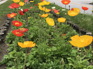 5affadab8fd4456c882bb0d38a8344dc