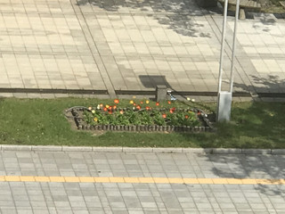 768db9bb194f4050b9f6d7b13fc9c0bb