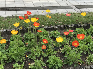 86a8f873651543c4a1f4dd6404686b68