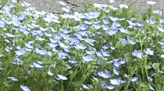 8a3ab11ce7fa42d185df6caa9637936a