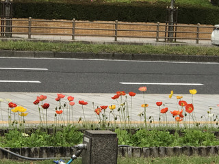 C4501cdcde674179b535361c6c595065