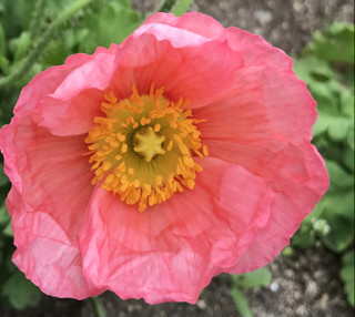 Dd8ea4cace8c48fc9f0f4a8a23b61655