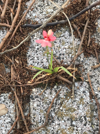 905b0446e01743f79c1250788e9dd0b7