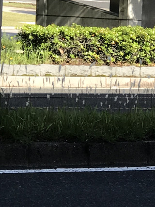 F50dd9b0aa624776858db7a8794926f5