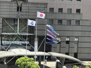 48a7567e063441efb63d286813f79df4