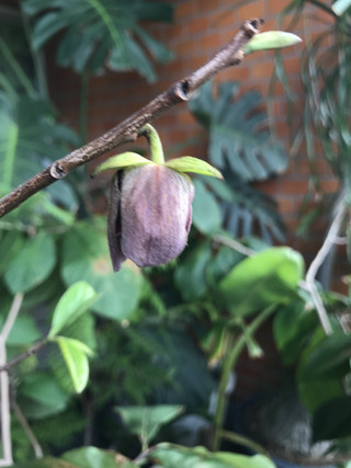 05608a9b846b4c218e98312dbbd77577