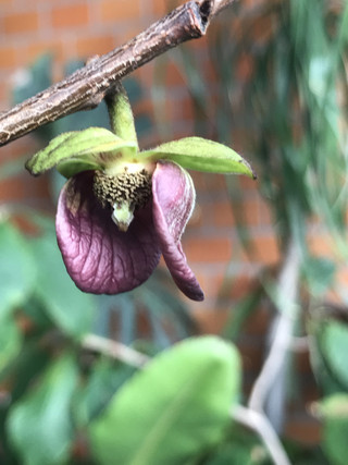 3c46b46af74e4869860dab3935fe87a4