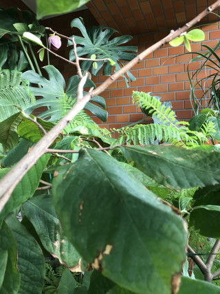 A310f0503e624afc87b92642d67776a3