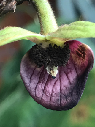 F13378606a404b689dd5a5a6afeaf579