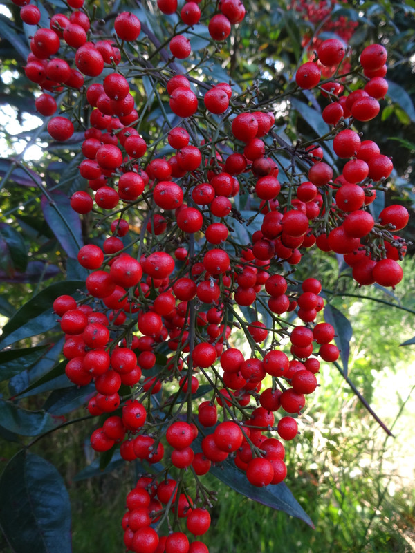 Dsc09214_2 Dsc09214_2