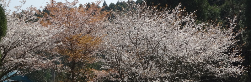 1dsc04410