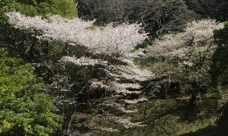 1dsc04437
