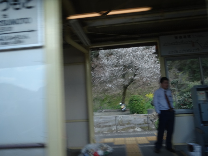 Dsc04256