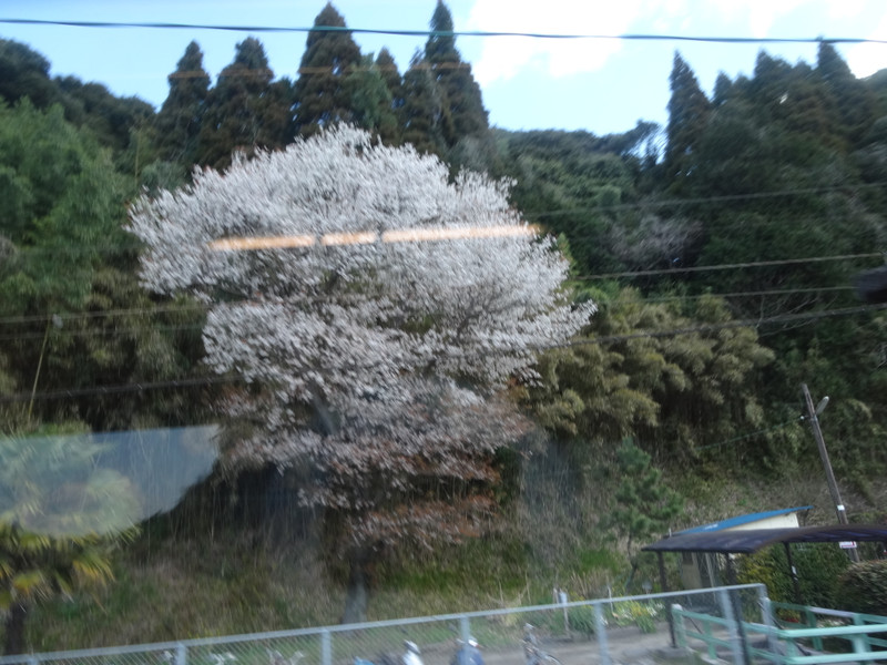Dsc04257