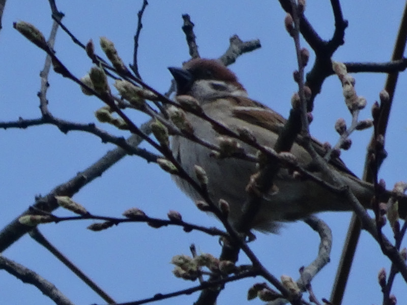 Dsc04303 Dsc04303