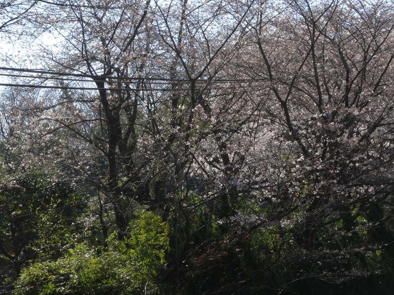 Dsc04343