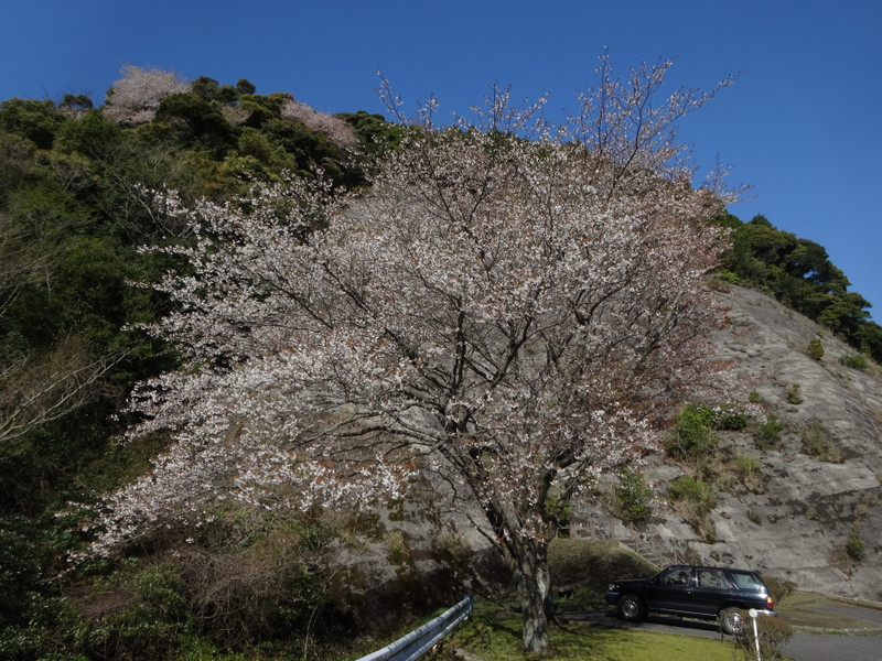 Dsc04351