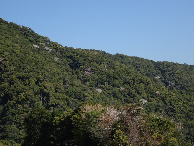 Dsc04353