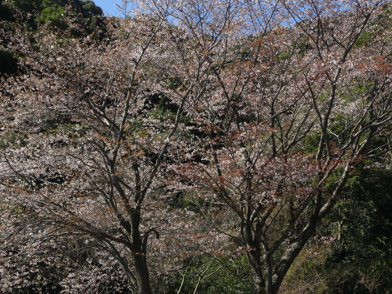 Dsc04354