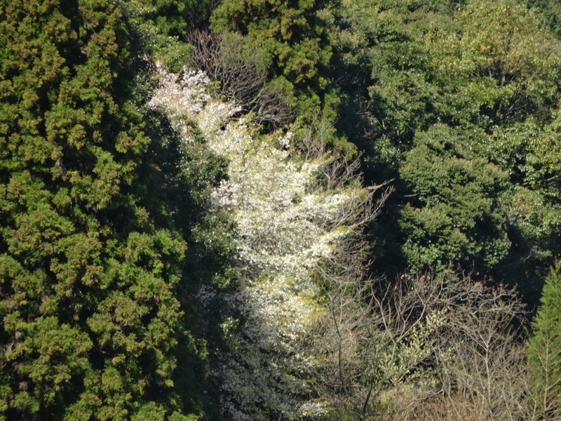 Dsc04364