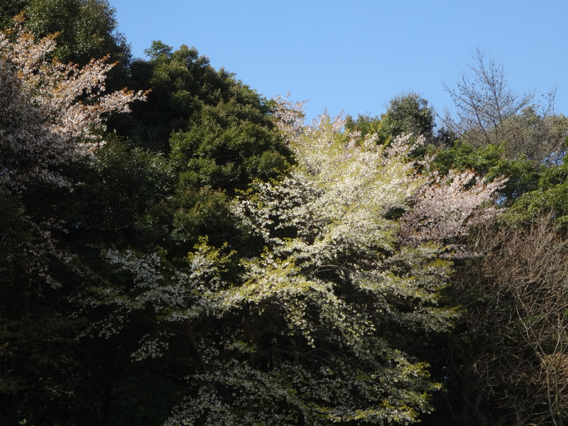 Dsc04367