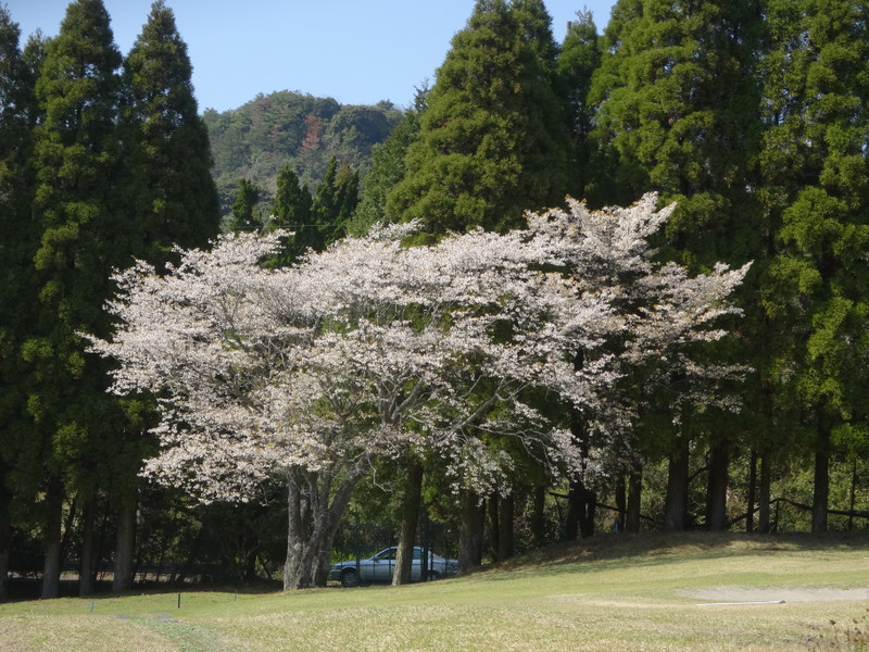 Dsc04425
