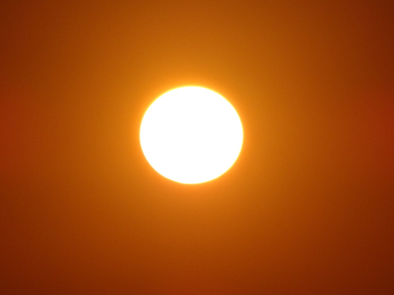Dsc04452