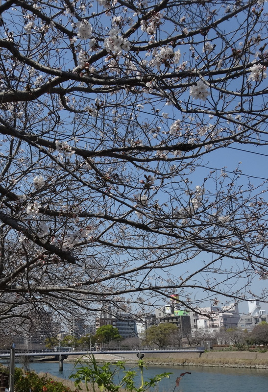1dsc04487001